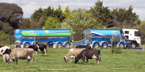 Eco-terrorism threat strikes NZ dairy industry